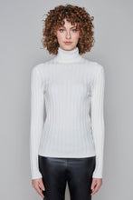 Load image into Gallery viewer, Carre Noir novelty fitted turtleneck
