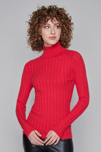 Load image into Gallery viewer, Carre Noir novelty fitted turtleneck
