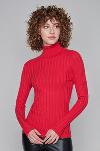 Carre Noir novelty fitted turtleneck