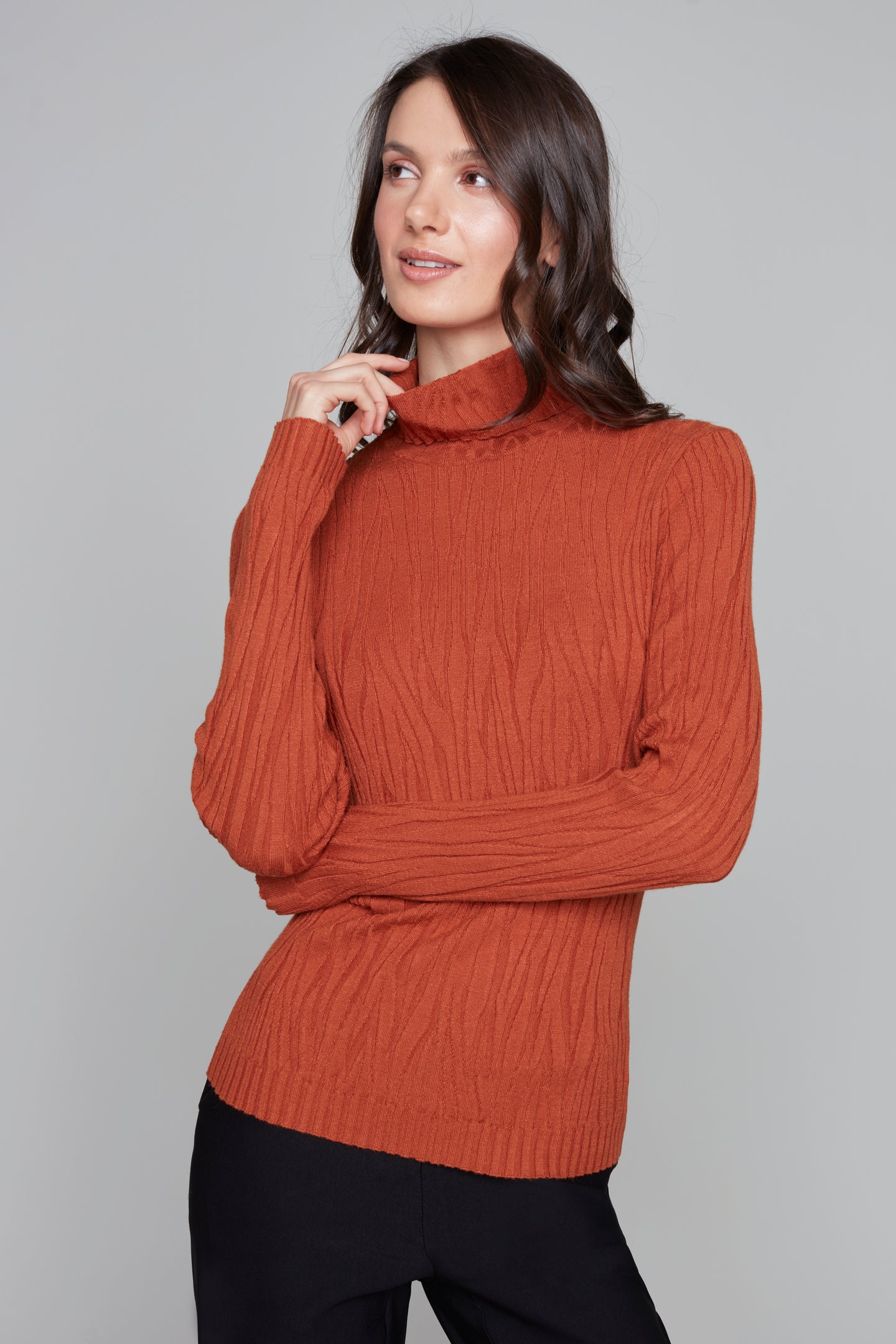 Pull col roulé ajusté texturé Carré Noir